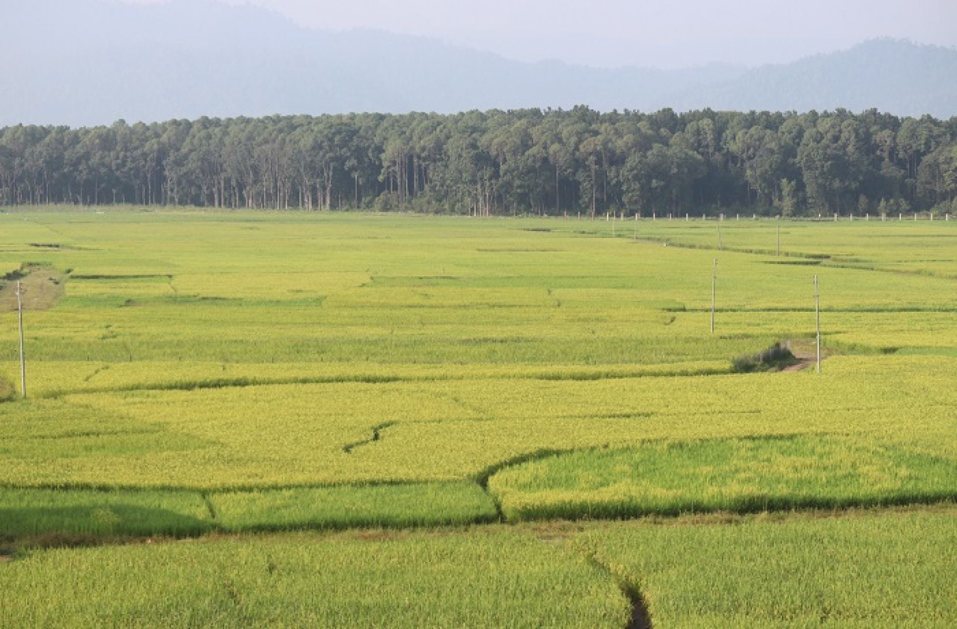 कर्णालीमा खेती गरिएको ६९ प्रतिशत जमिन सिँचाइविहीन